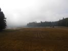 Travna ruša Gregorc >> Galerija - Golf igrišče