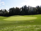 Travna ruša Gregorc >> Galerija - Golf igrišče