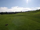 Travna ruša Gregorc >> Galerija - Golf igrišče