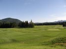 Travna ruša Gregorc >> Galerija - Golf igrišče