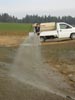 Travna ruša Gregorc >> Galerija - Golf igrišče