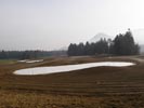 Travna ruša Gregorc >> Galerija - Golf igrišče