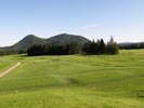 Travna ruša Gregorc >> Galerija - Golf igrišče