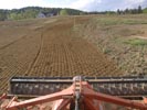Travna ruša Gregorc >> Galerija - Golf igrišče