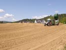 Travna ruša Gregorc >> Galerija - Golf igrišče