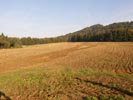 Travna ruša Gregorc >> Galerija - Golf igrišče