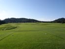 Travna ruša Gregorc >> Galerija - Golf igrišče