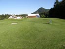 Travna ruša Gregorc >> Galerija - Golf igrišče