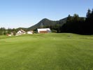 Travna ruša Gregorc >> Galerija - Golf igrišče