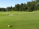 Travna ruša Gregorc >> Galerija - Golf igrišče
