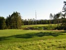 Travna ruša Gregorc >> Galerija - Golf igrišče