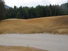 Travna ruša Gregorc >> Galerija - Golf igrišče