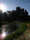 Travna ruša Gregorc >> Galerija - Golf igrišče