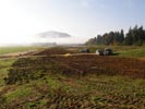 Travna ruša Gregorc >> Galerija - Golf igrišče