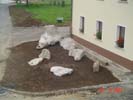 Travna ruša Gregorc >> Galerija - Potek dela 1