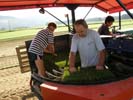 Travna ruša Gregorc >> Galerija - Rezanje travne ruše