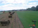 Travna ruša Gregorc >> Galerija - Utrinki